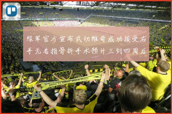 绿军官方宣布武切维奇成功接受右手无名指骨折手术预计三到四周后复查