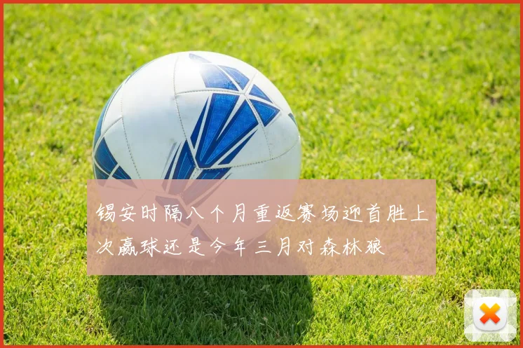 锡安时隔八个月重返赛场迎首胜上次赢球还是今年三月对森林狼