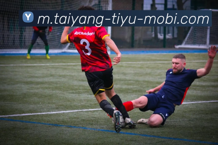 多媒体互动体验